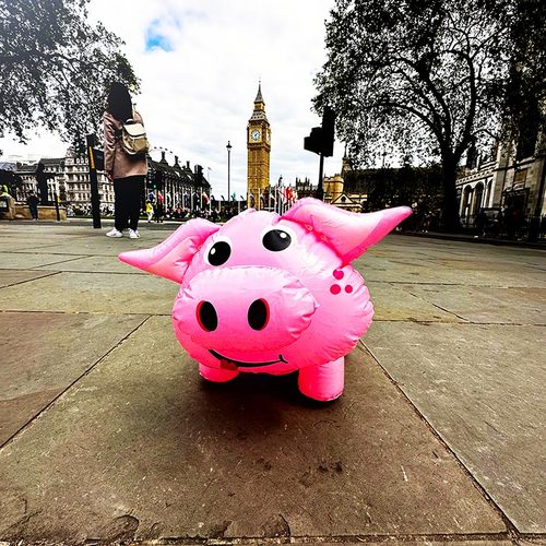 Piggy in London